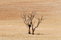 Namibie-Nabib-Naukluft-Park_13