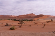 Namibie_Sossuvlei_2_01