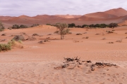 Namibie_Sossuvlei_2_02