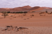 Namibie_Sossuvlei_2_03