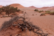 Namibie_Sossuvlei_2_04