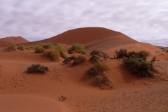 Namibie_Sossuvlei_2_05