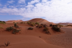 Namibie_Sossuvlei_2_08