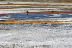 DSC_0025_DxO